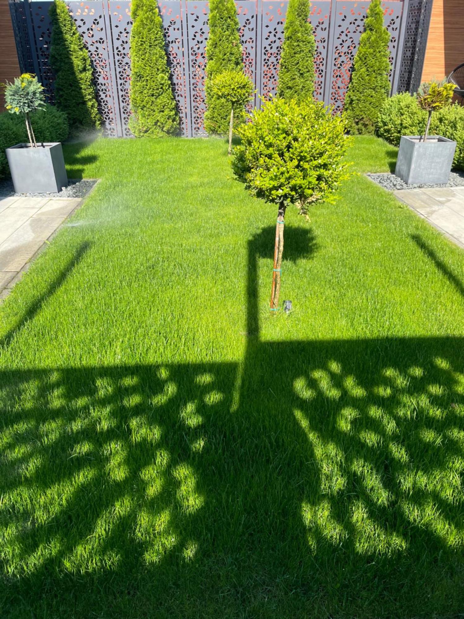 Doublel Studios Bacău Buitenkant foto
